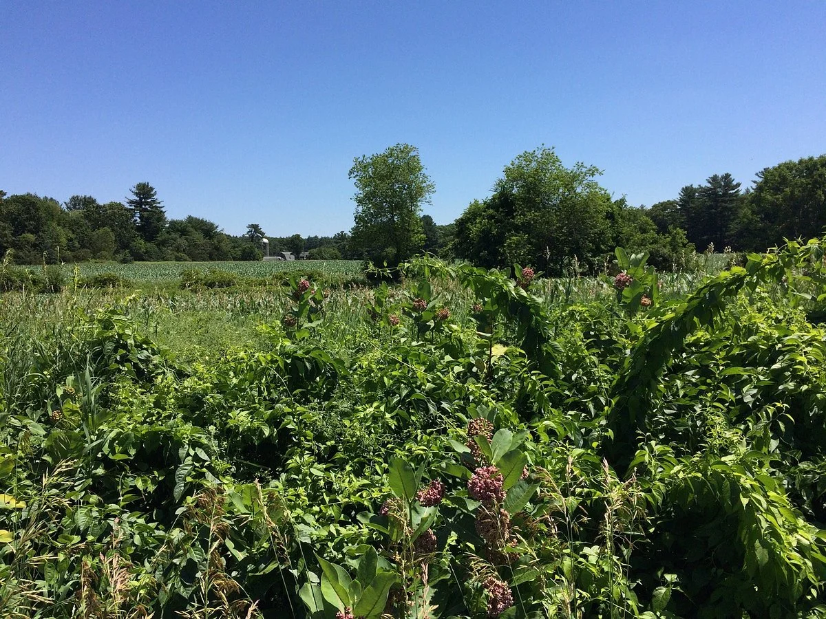 Great Brook Farm State Park