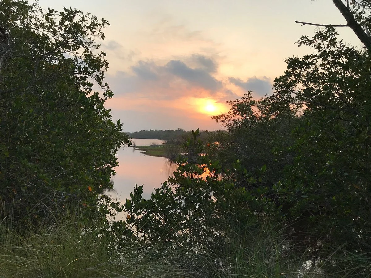 Bailey Tract