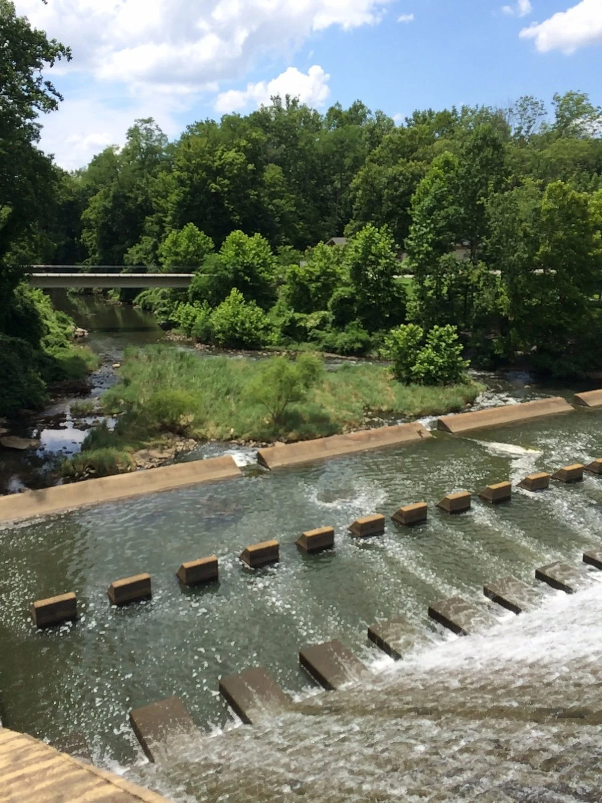 Lake Roland Park