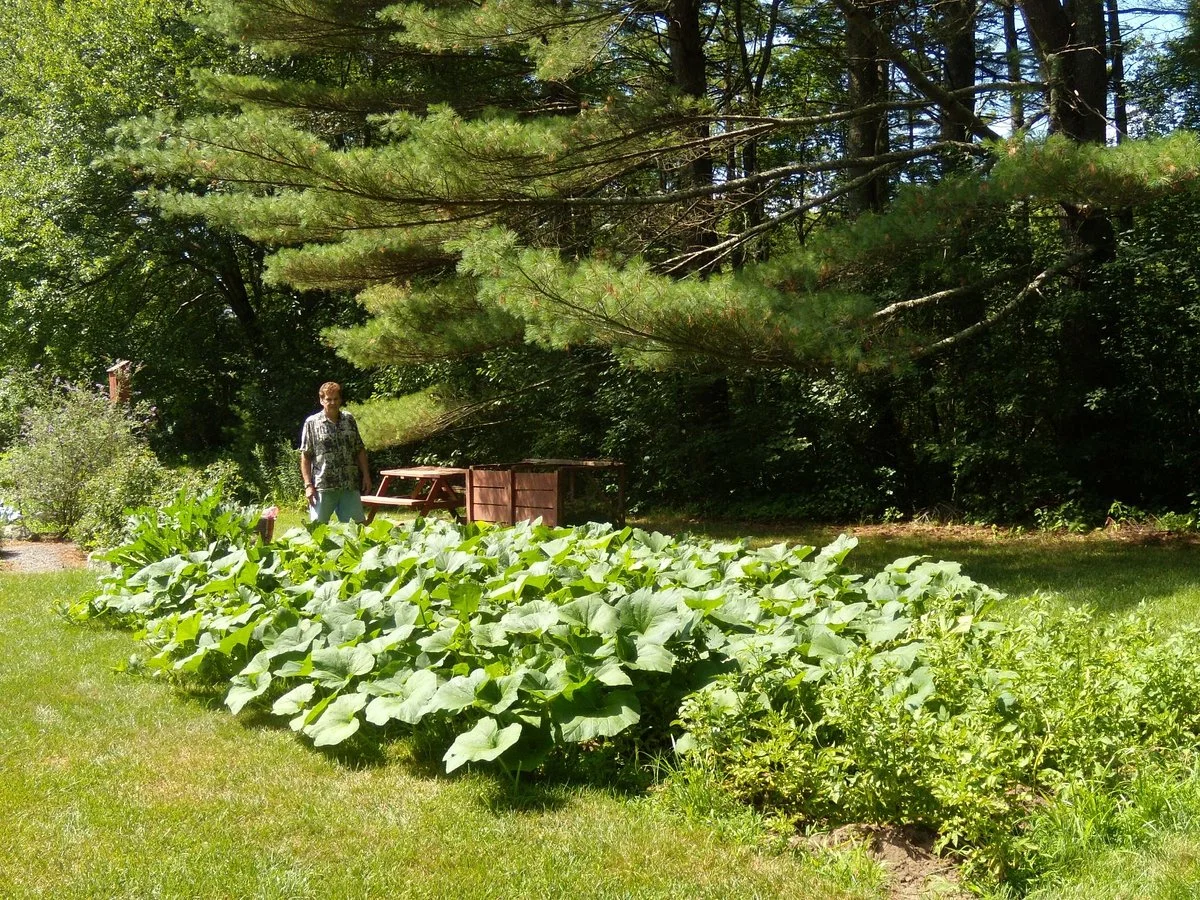 Verrill Farm