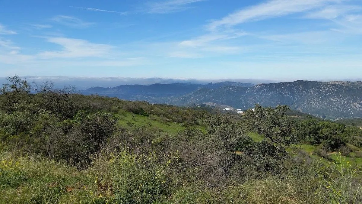 Daley Ranch