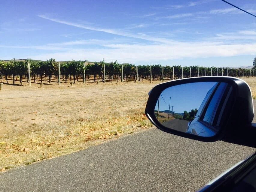Carneros Creek Winery