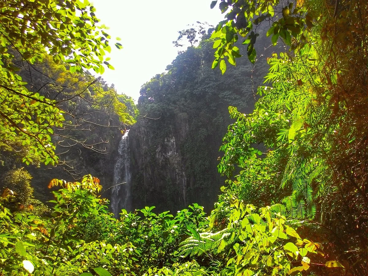 Buntot Palos Falls