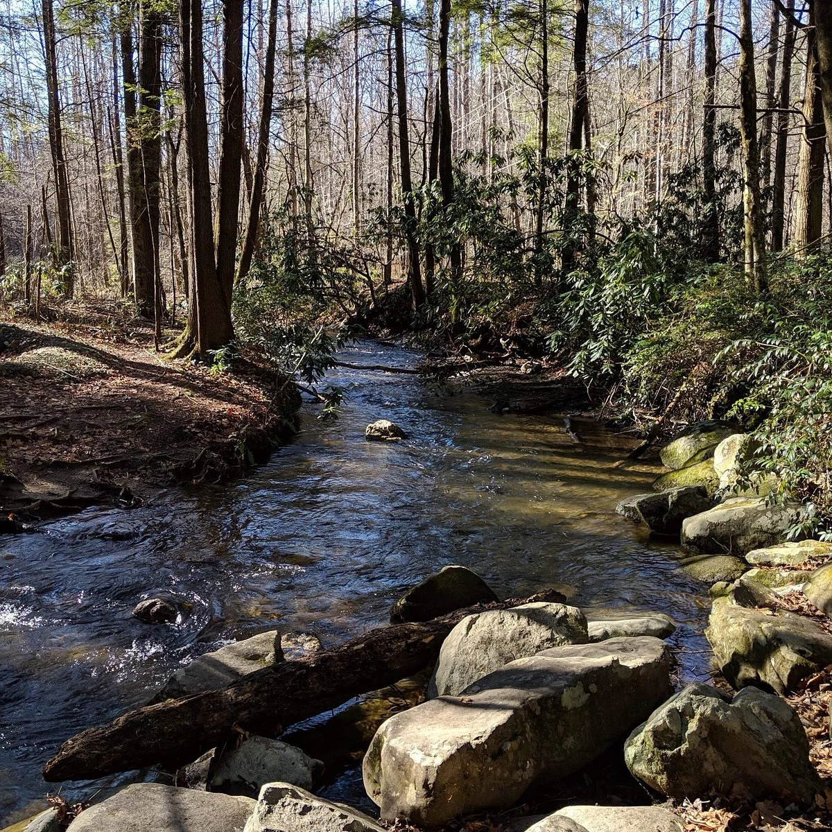 Fighting Creek Trail