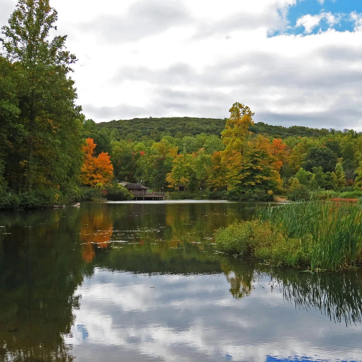 Hedden Park