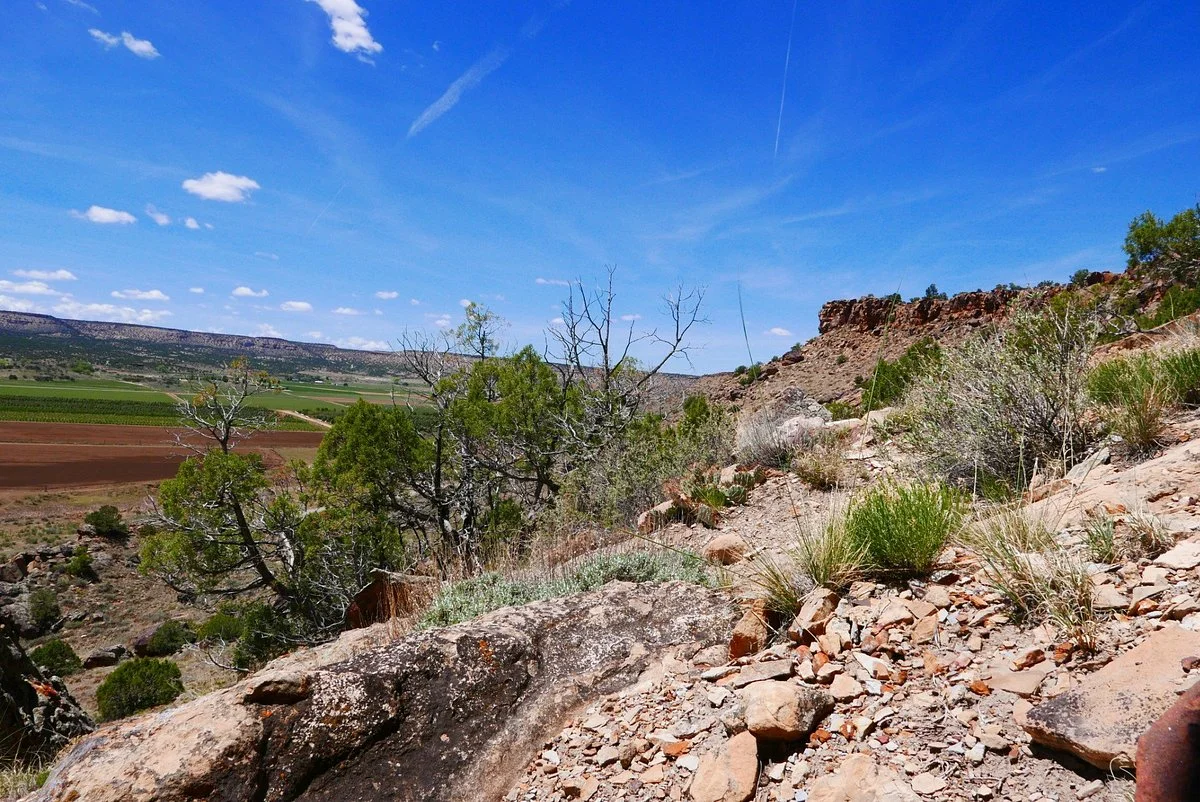 Shavano Valley