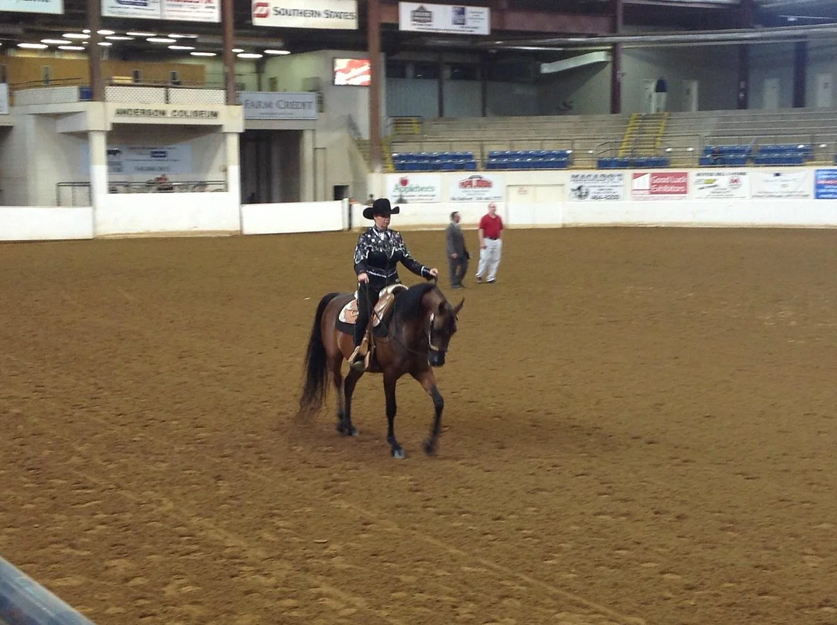 Virginia Horse Center