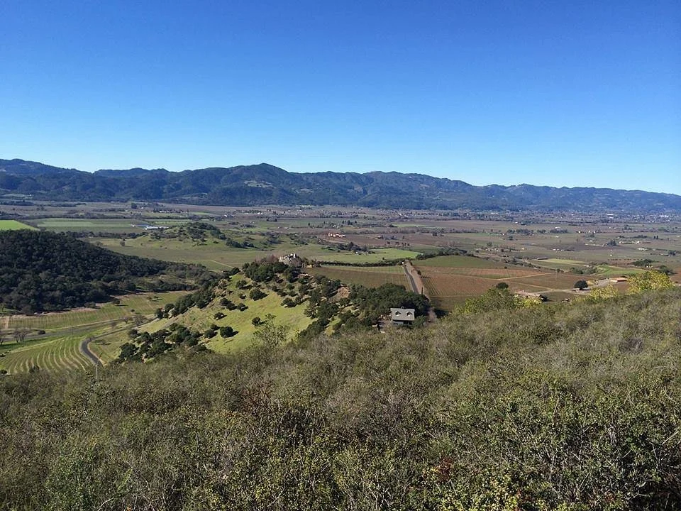 Oakville Ranch Winery & Vineyards