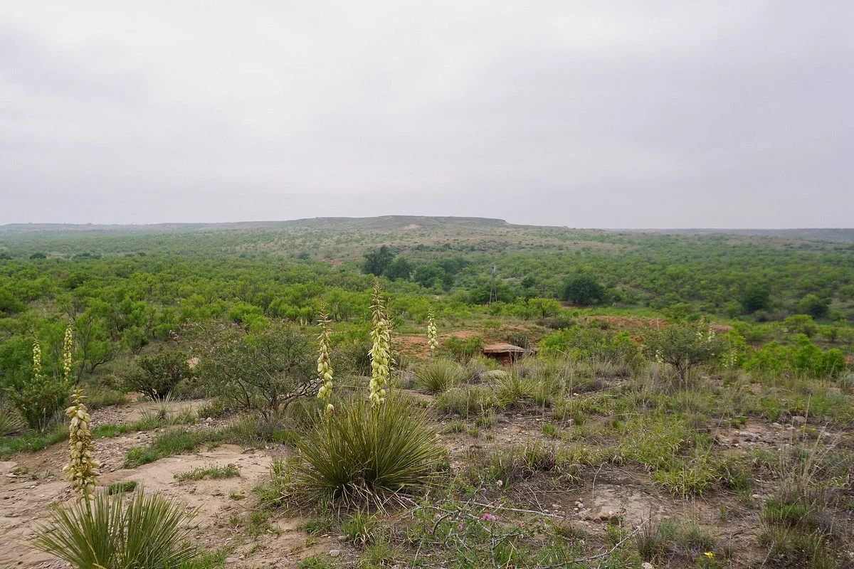 Wildcat Bluff Nature Center