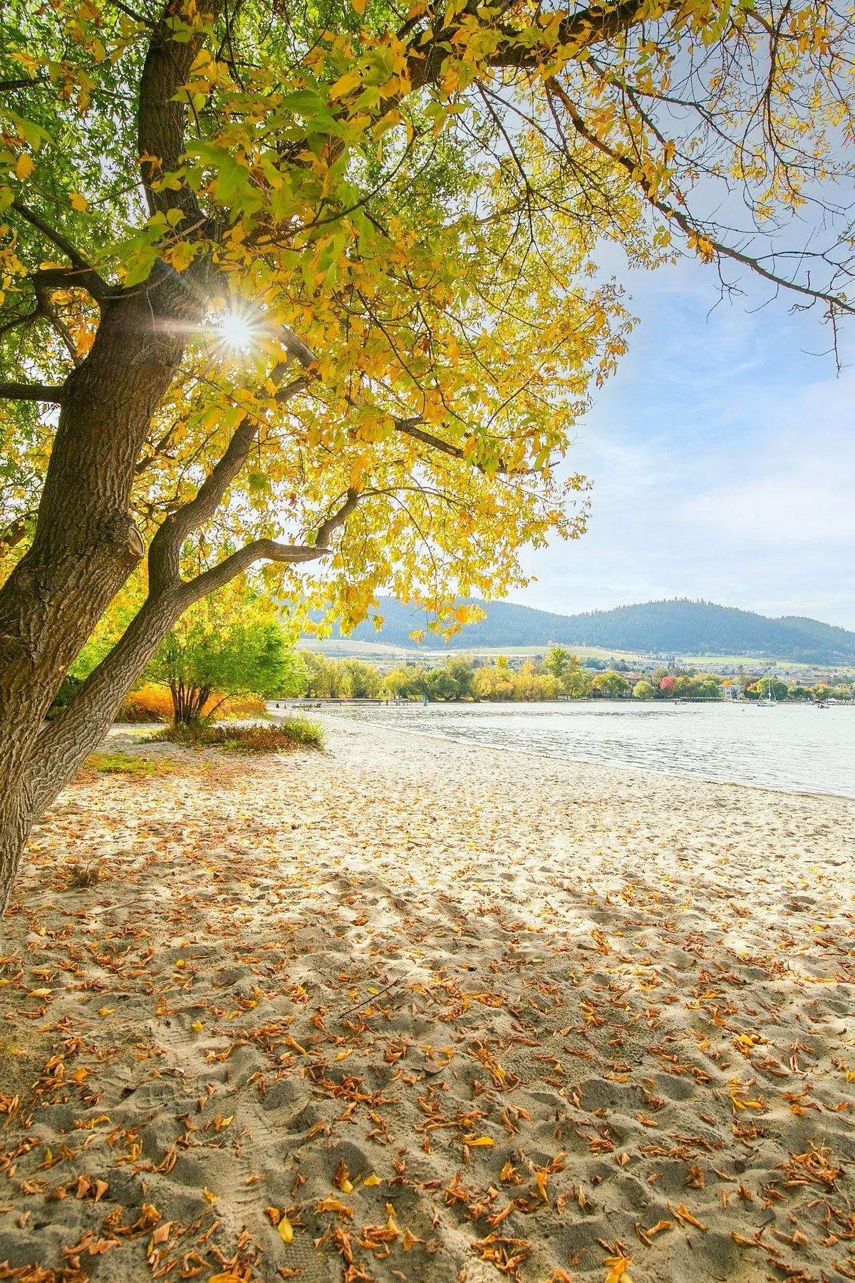 Kin Beach