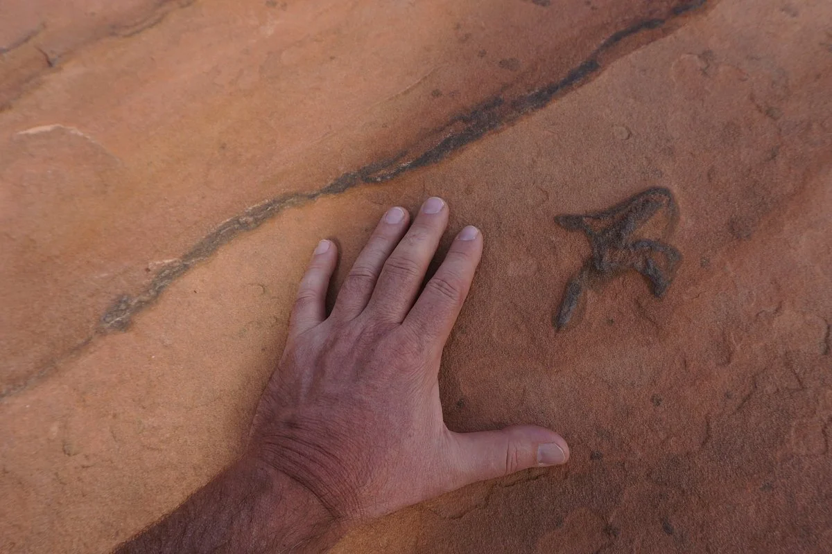 Moccasin Mountain Dinosaur Tracksite