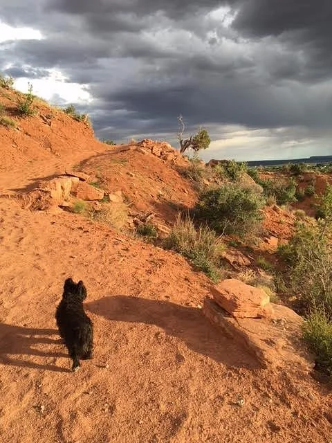 K-Hill trail