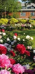 Arboretum (Experimental Farm)