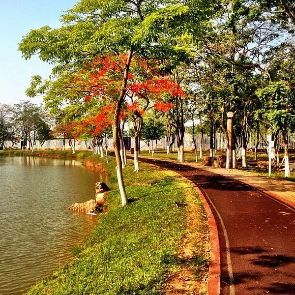 Parque La Polvora