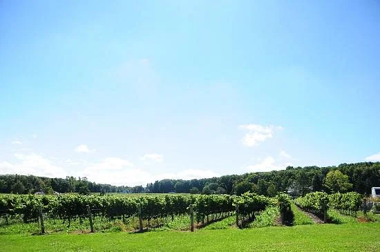 Rosewood Estates Winery