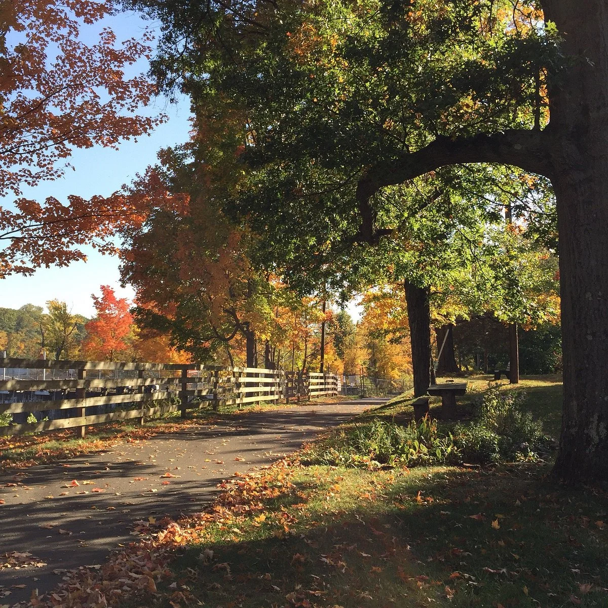 Windsor Locks Canal State Park Trail