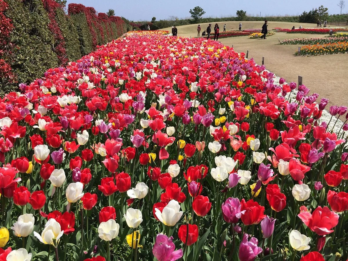 Yoshida Park