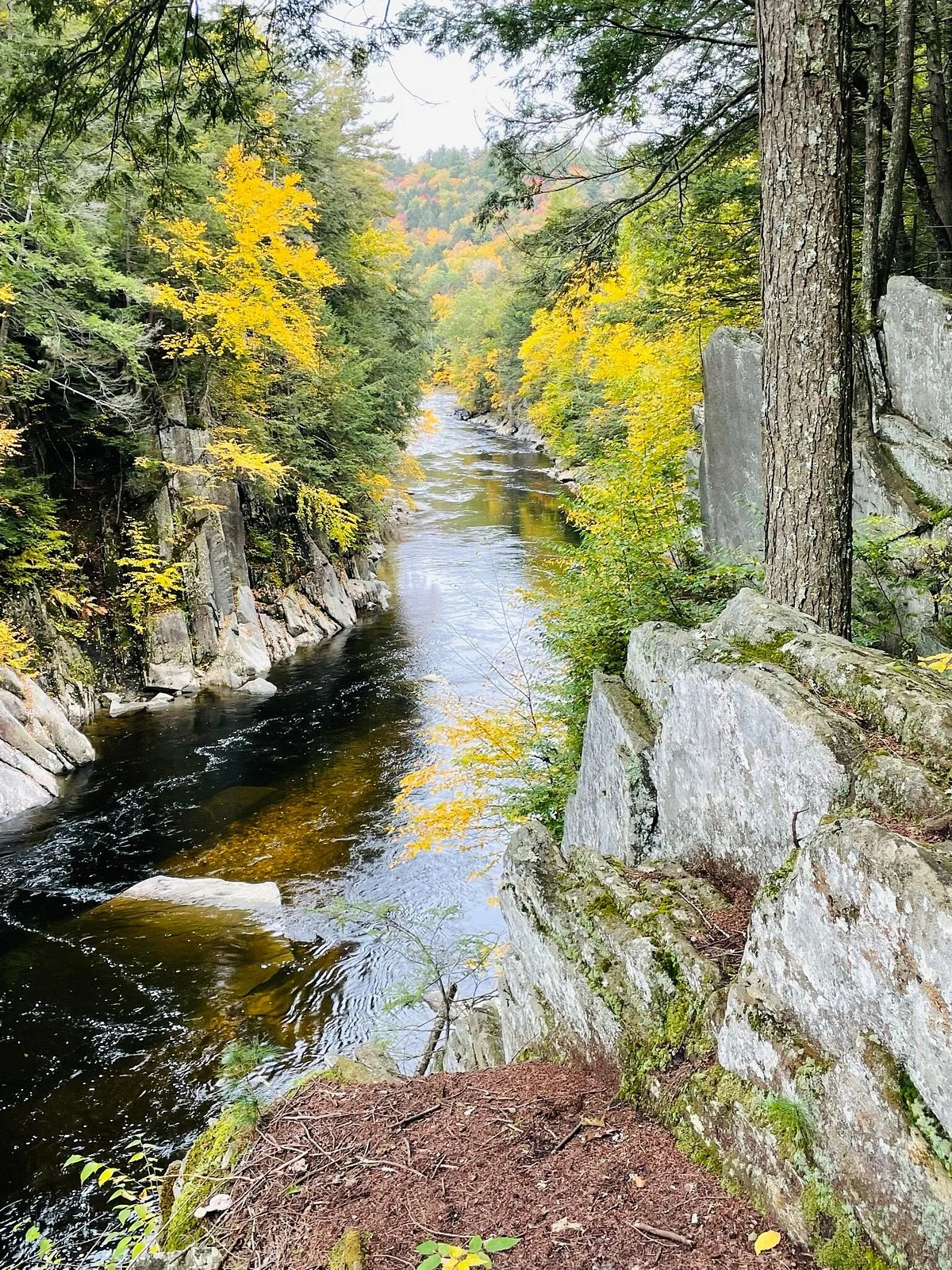 Chesterfield Gorge