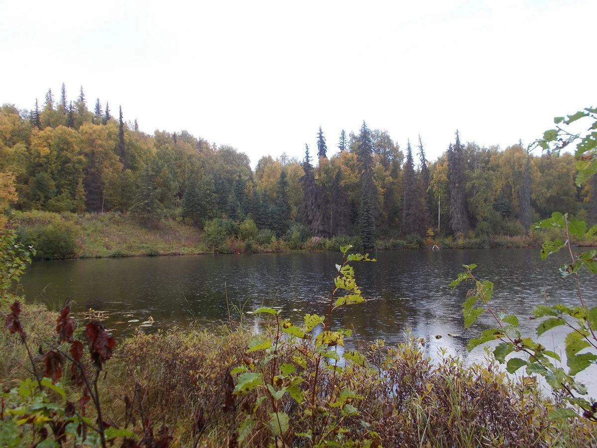 Nancy Lakes Recreation Area