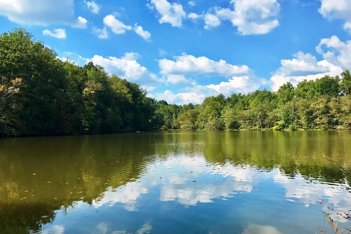 Gold Branch Trail