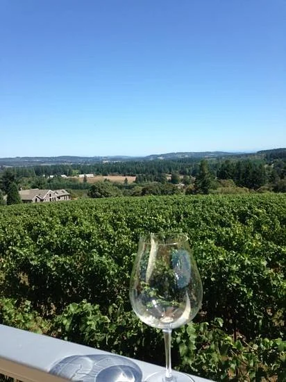 Raptor Ridge Winery