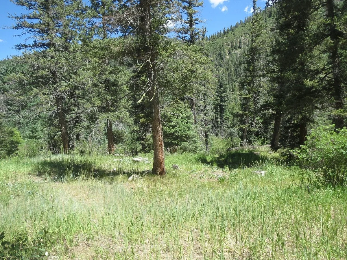 Agua Piedra Campground