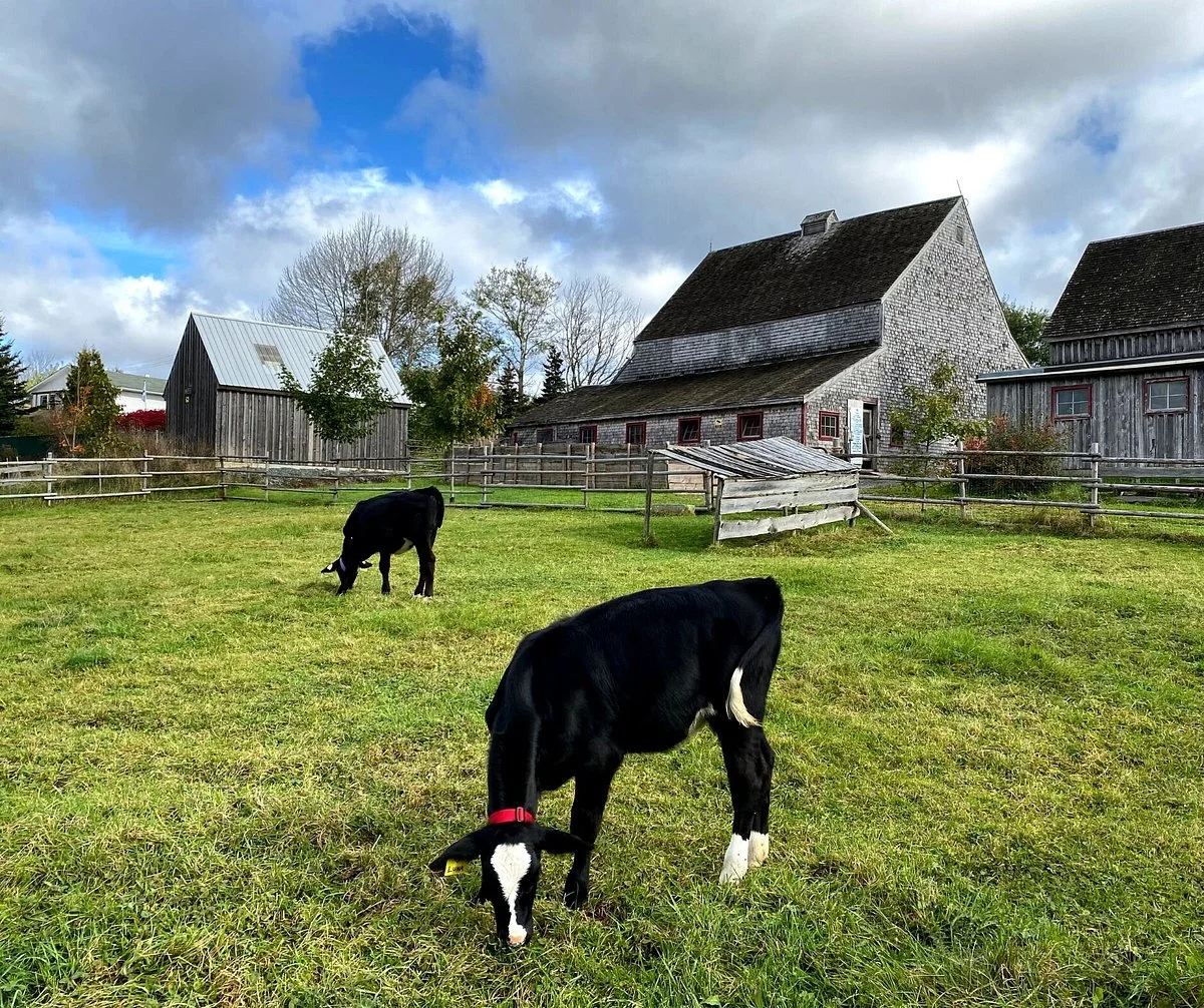 Cole Harbour Heritage Farm Museum
