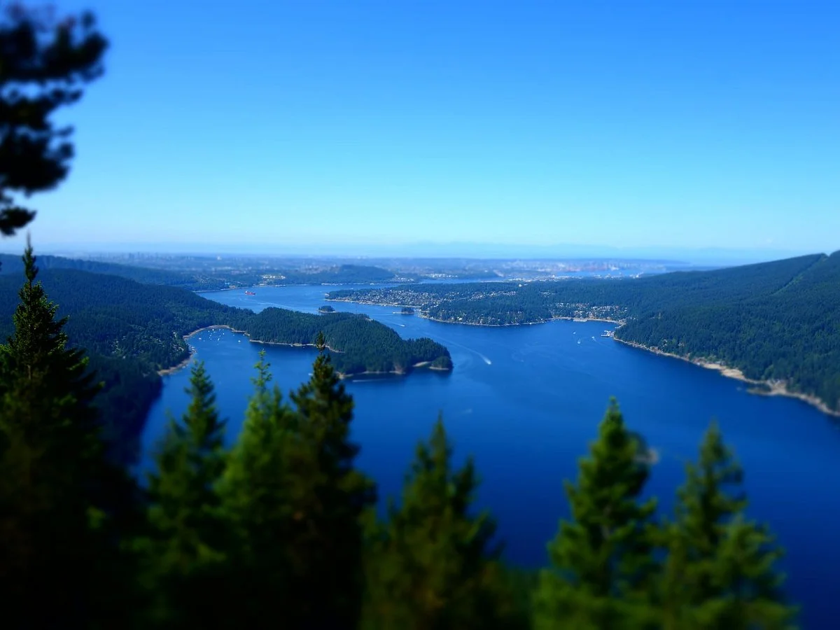 Diez Vistas Trail