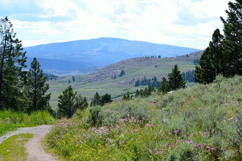 Slough Creek