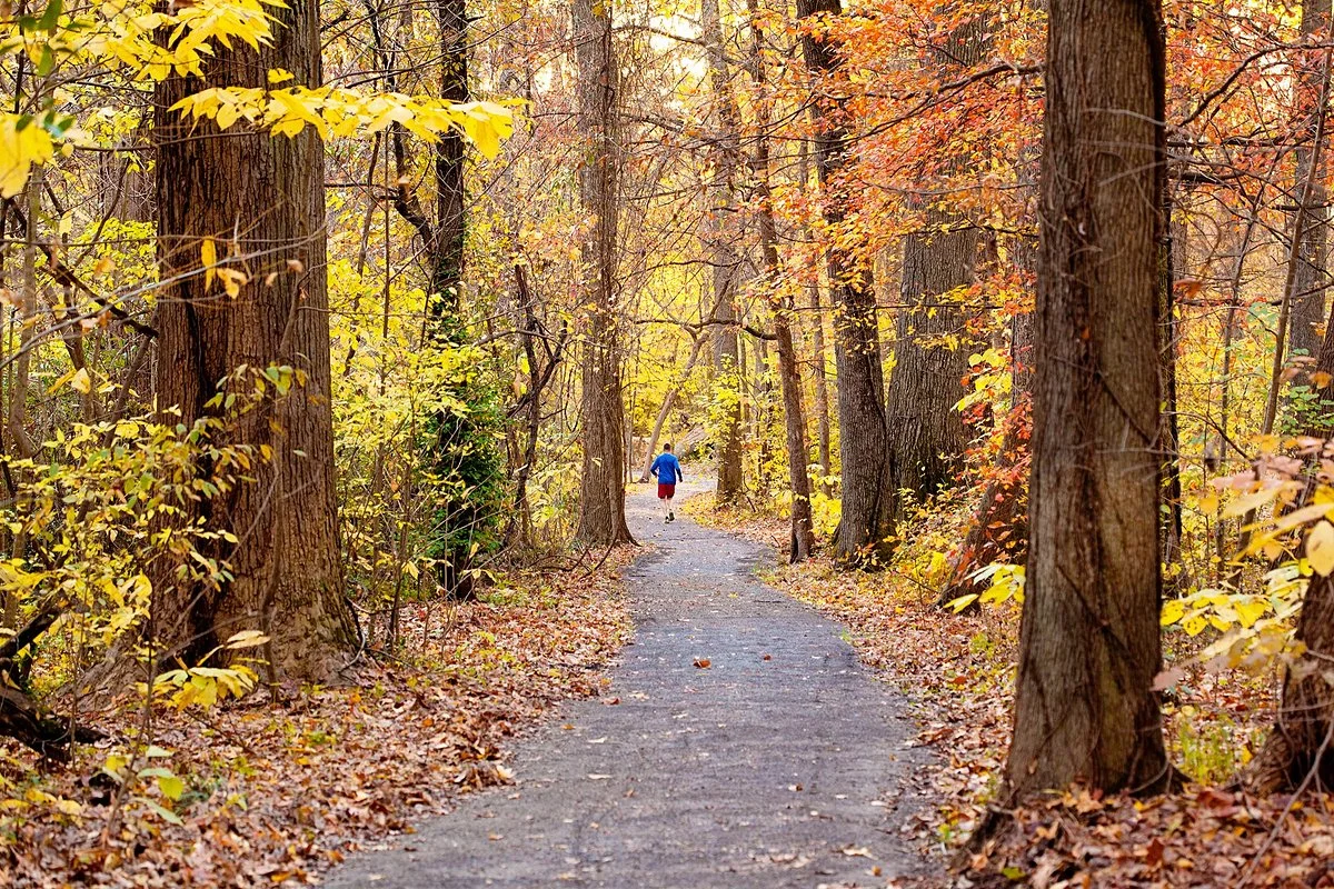 Overton Park