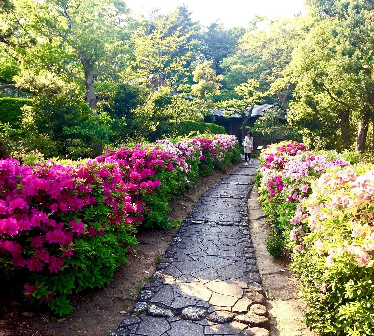 Okura Park