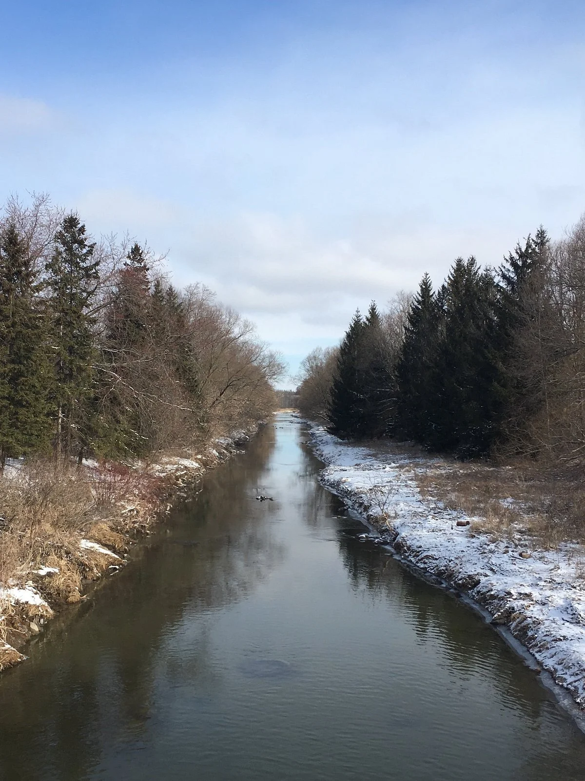 Rogers Reservoir Conservation Area