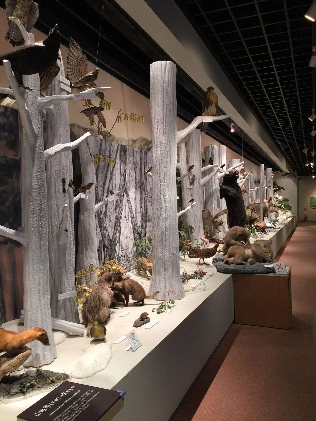Omachi Mountain Museum
