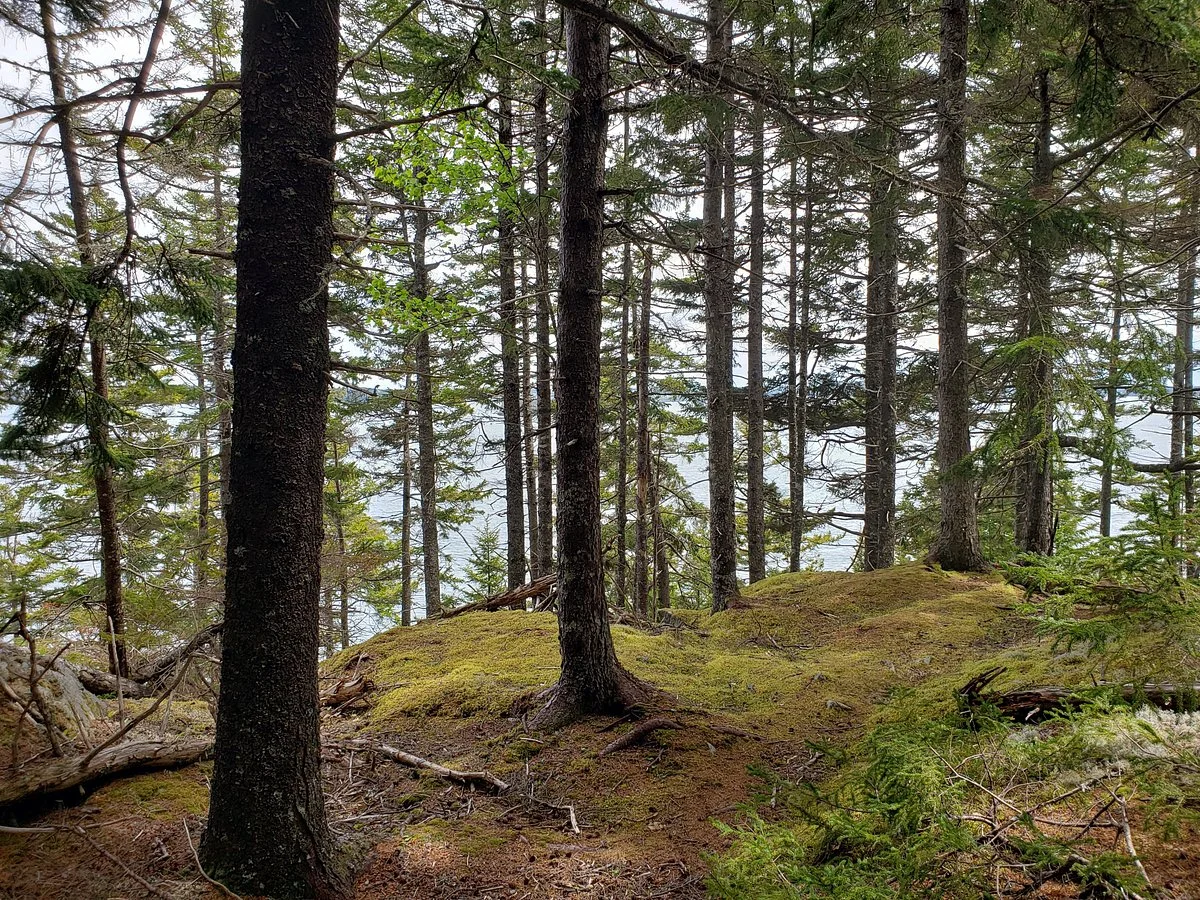 Clark Gregory Nature Preserve