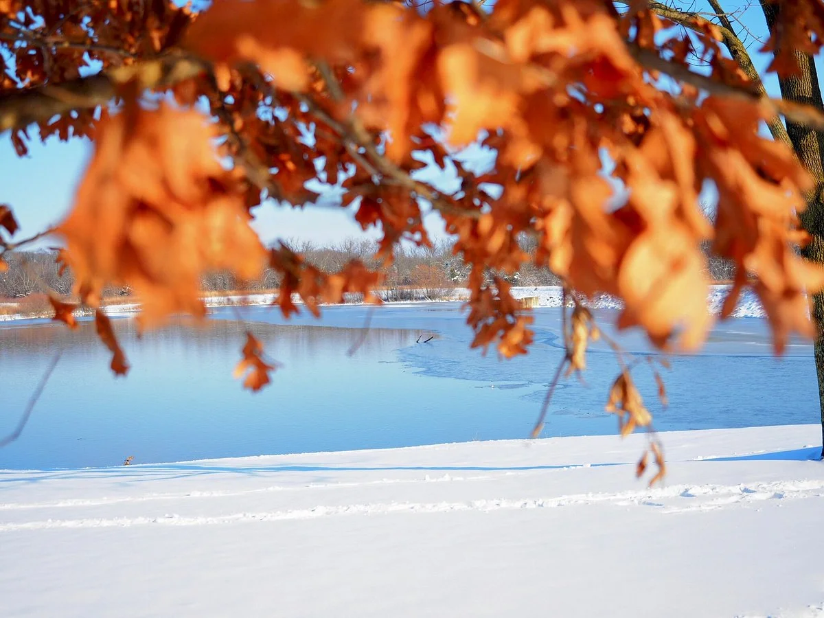 Carriage Hill MetroPark