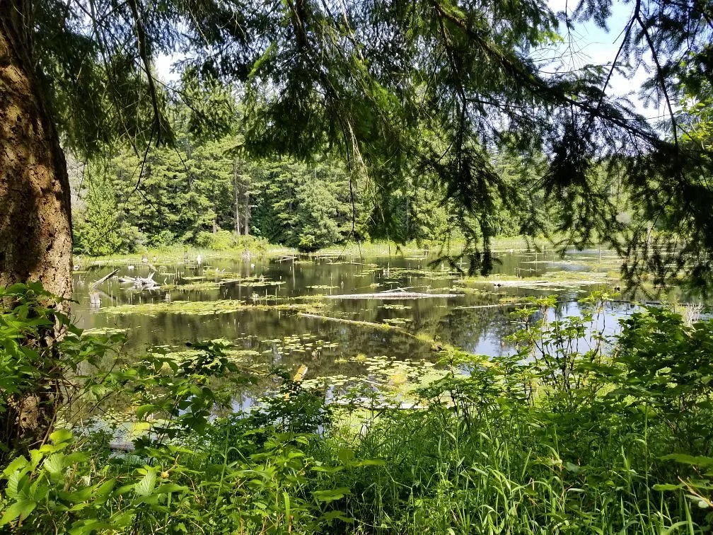 Lord Hill Regional Park