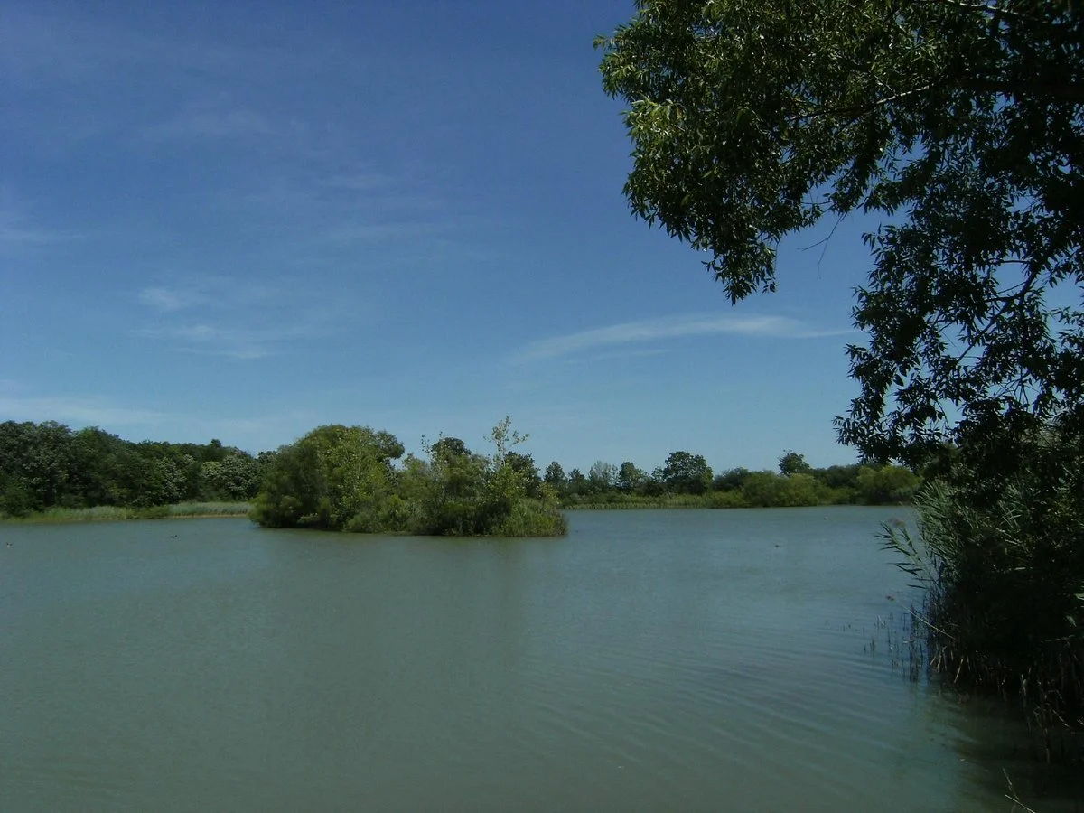 Glenridge Quarry Naturalization Site