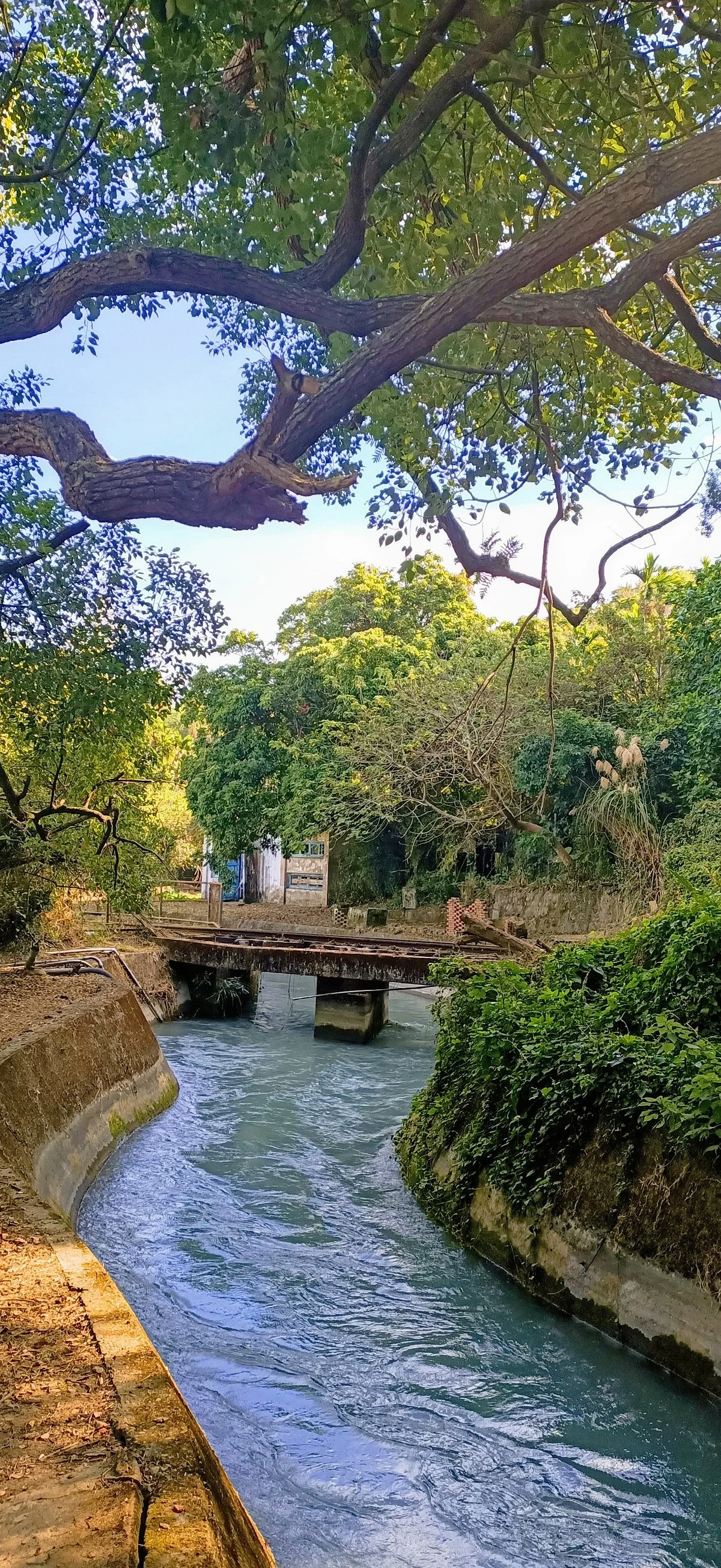 Jiu Shan Xian Ba Hao Sui Dao