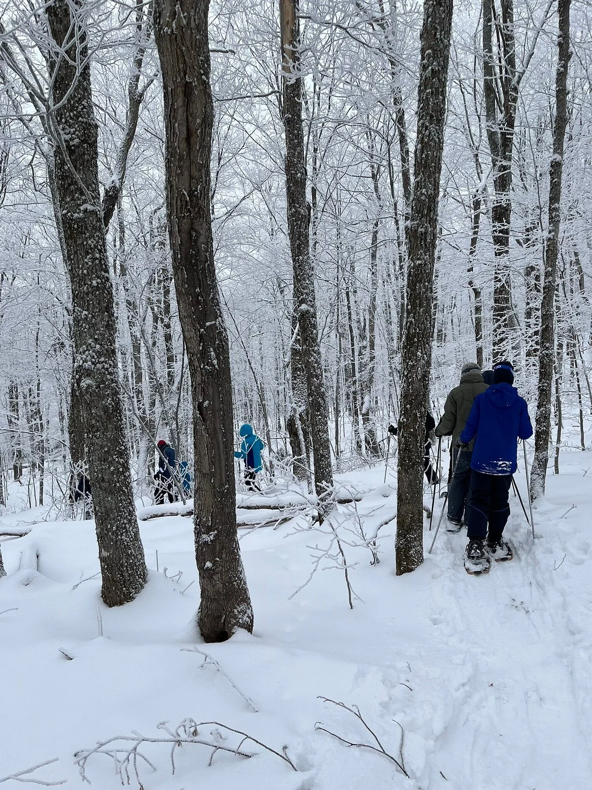 Snowshoe the Notch