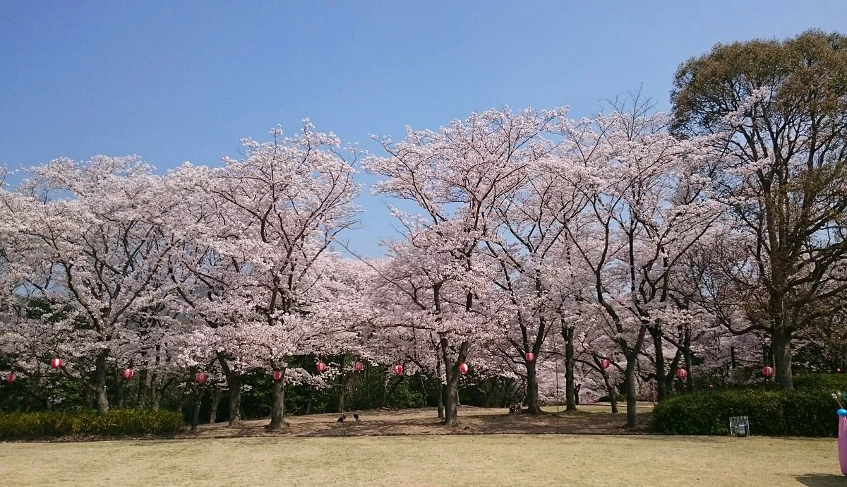 Harima Central Park