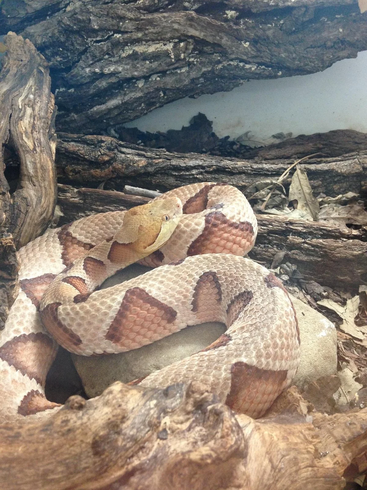Wildlife Discovery Center