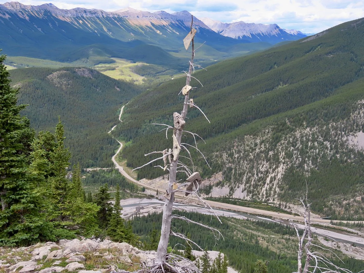Don Getty Wildland Provincial Park