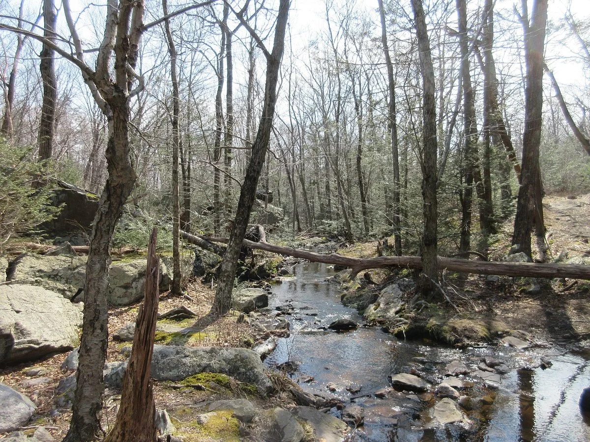 Abram Hewitt State Park