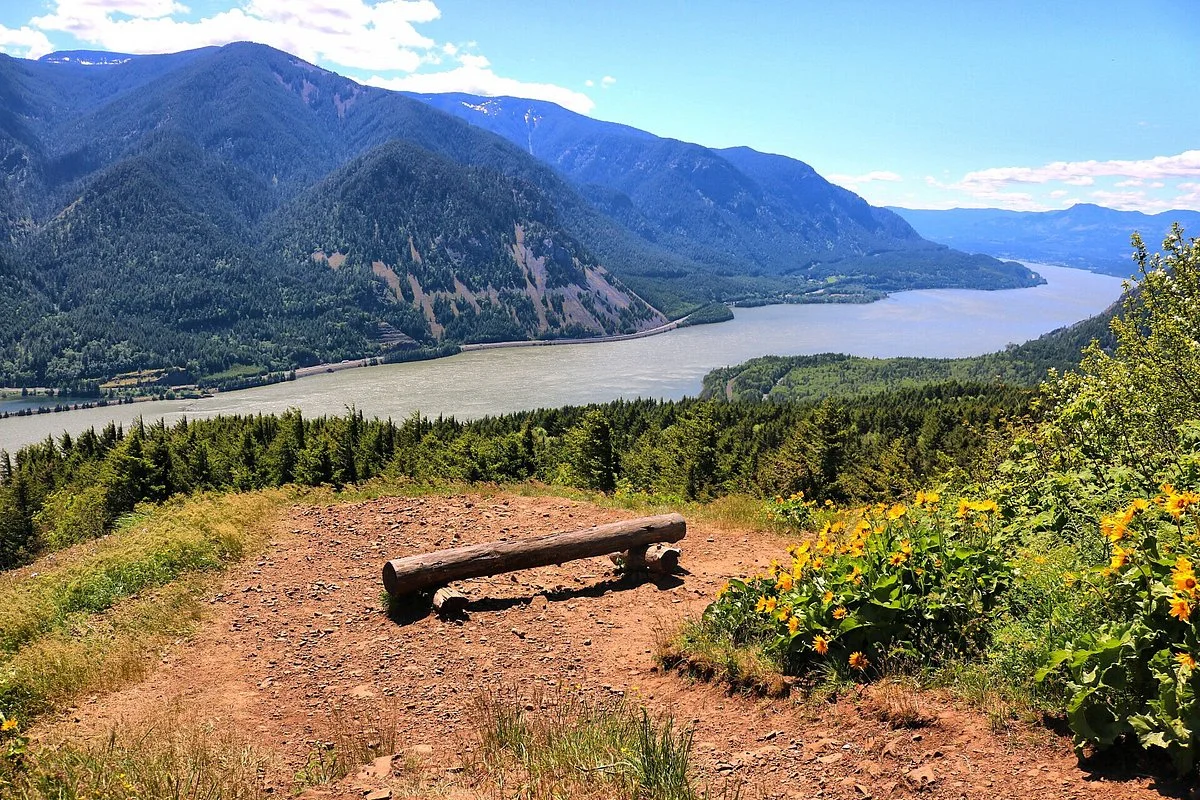 Dog Mountain Trail
