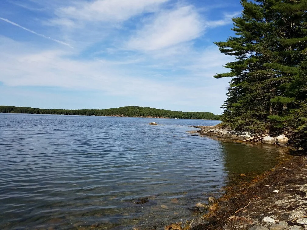 Holbrook Island Sanctuary