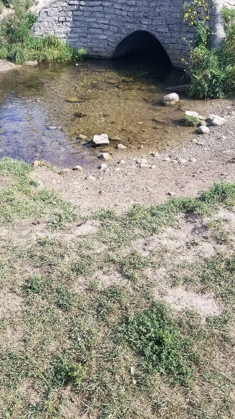Off-Leash Dog Park