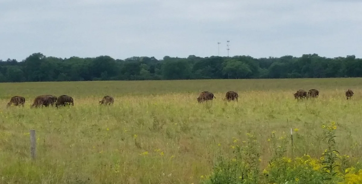 The Belwin Conservancy