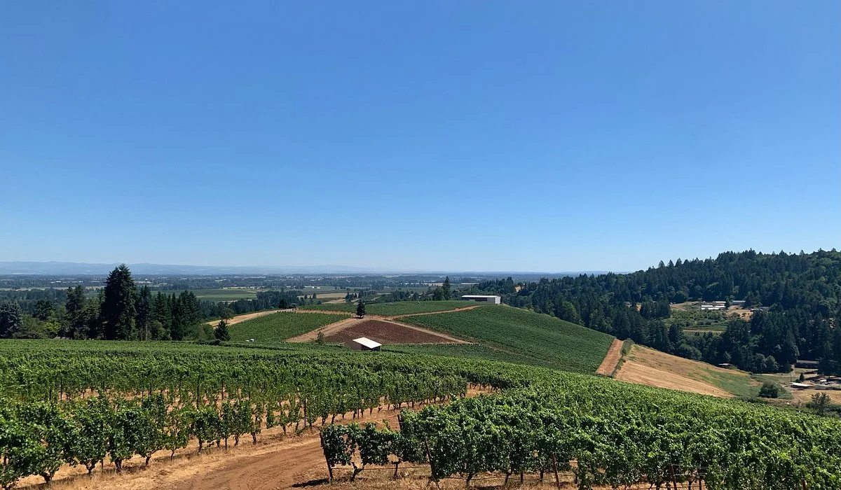 Evening Land Vineyards