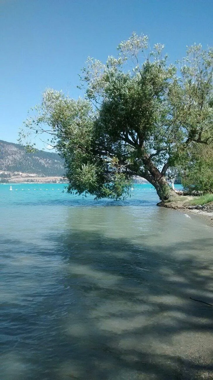 Kaloya Park