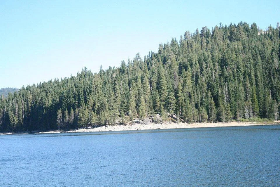 Bucks Lake